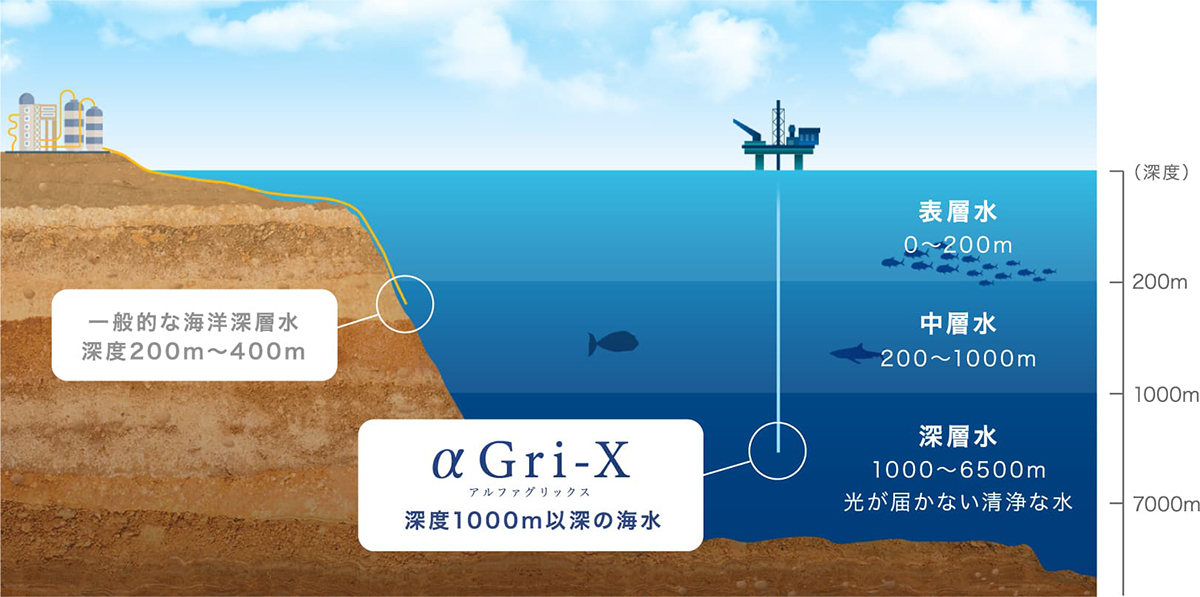 α Gri-X（アルファグリックス）について